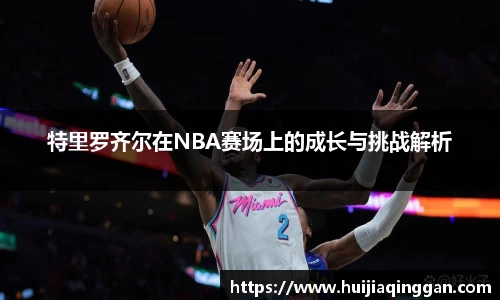 特里罗齐尔在NBA赛场上的成长与挑战解析